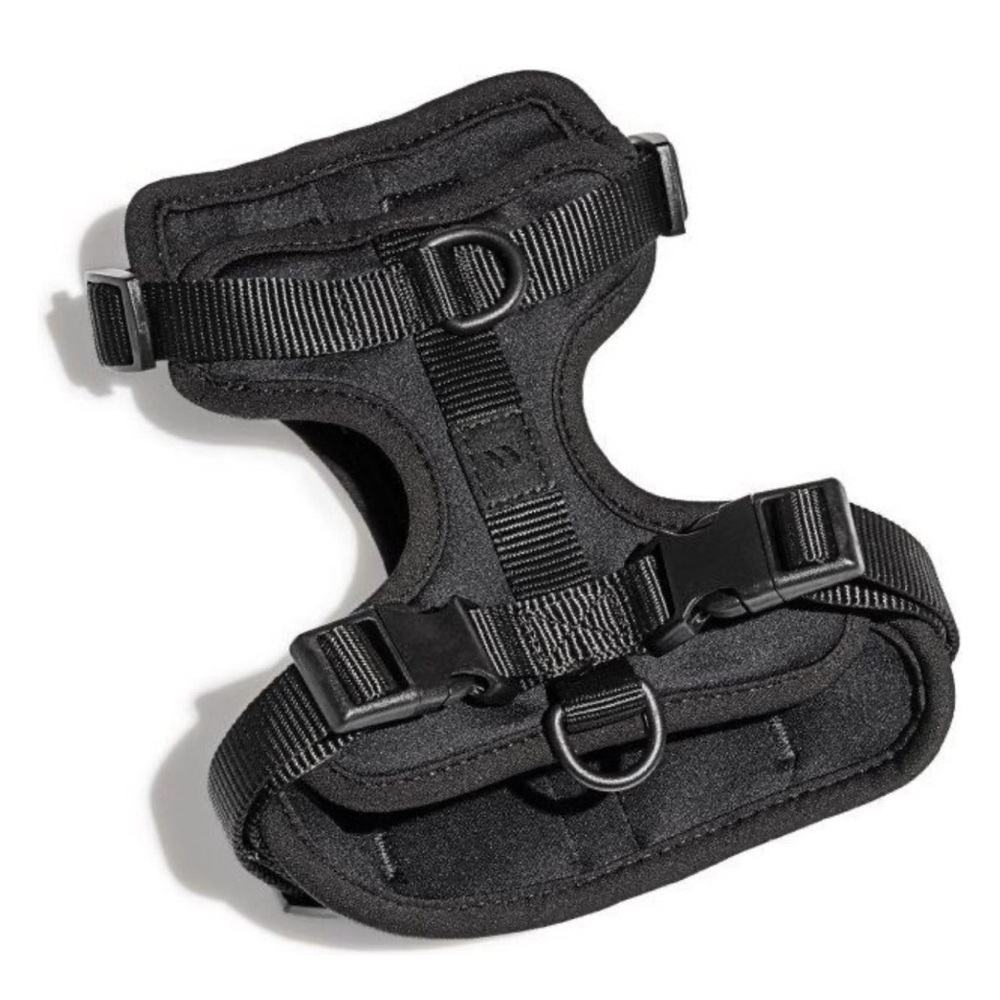 Wild Ones Medium Dog Harness & Collar